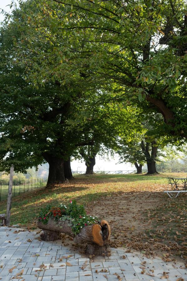 Il Riccio E La Castagna - Frühstückspension